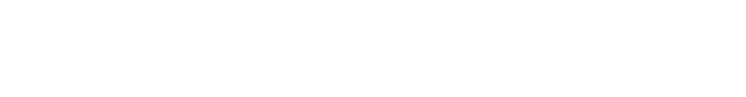 Wild Palace